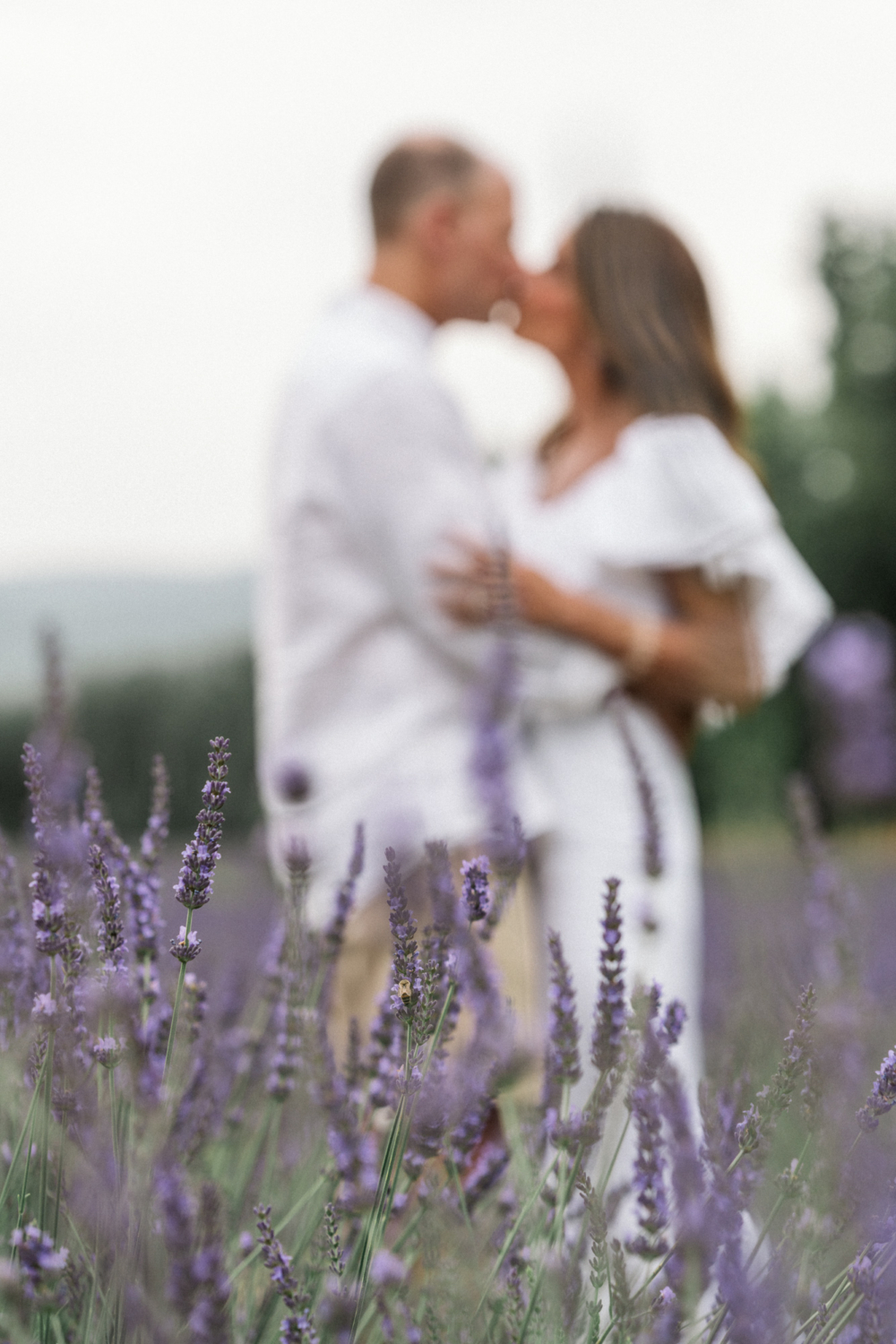 couple kiss in lavender field
