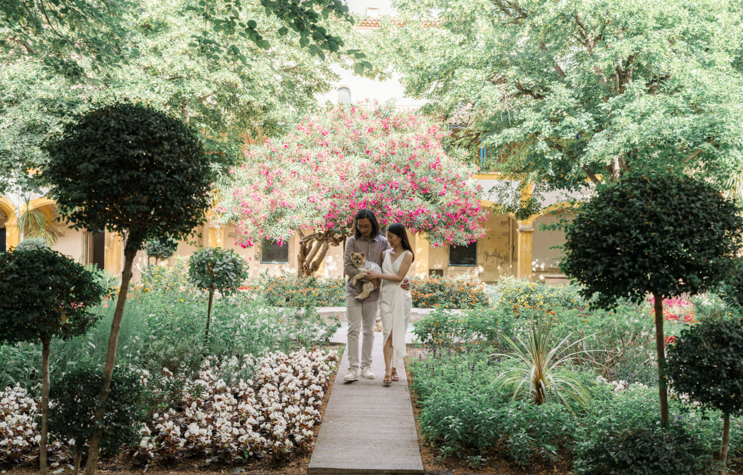 chinese couple walk with Pomeranian dog in garden in arles france