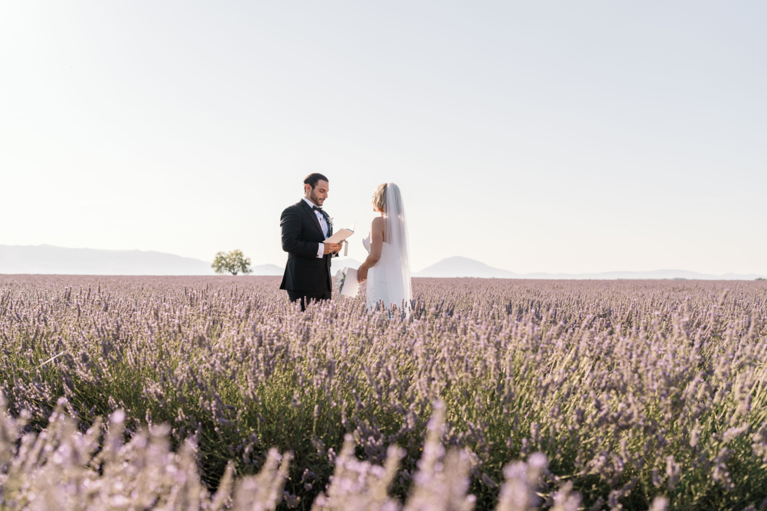 bride and groom read their vows to each other in provence lavender field