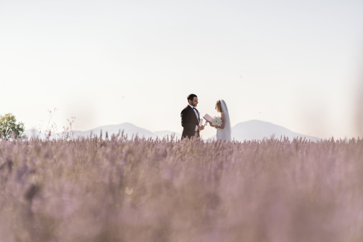 bride and groom exchange vows in lavender field in provence