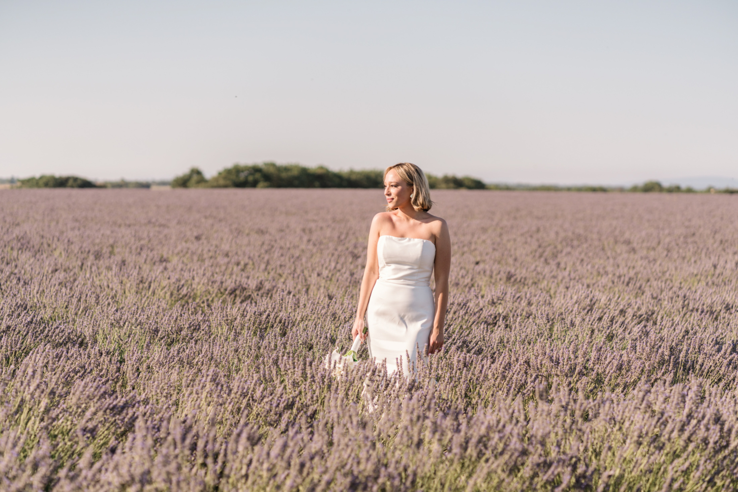 bride poses in lavender field in provence france