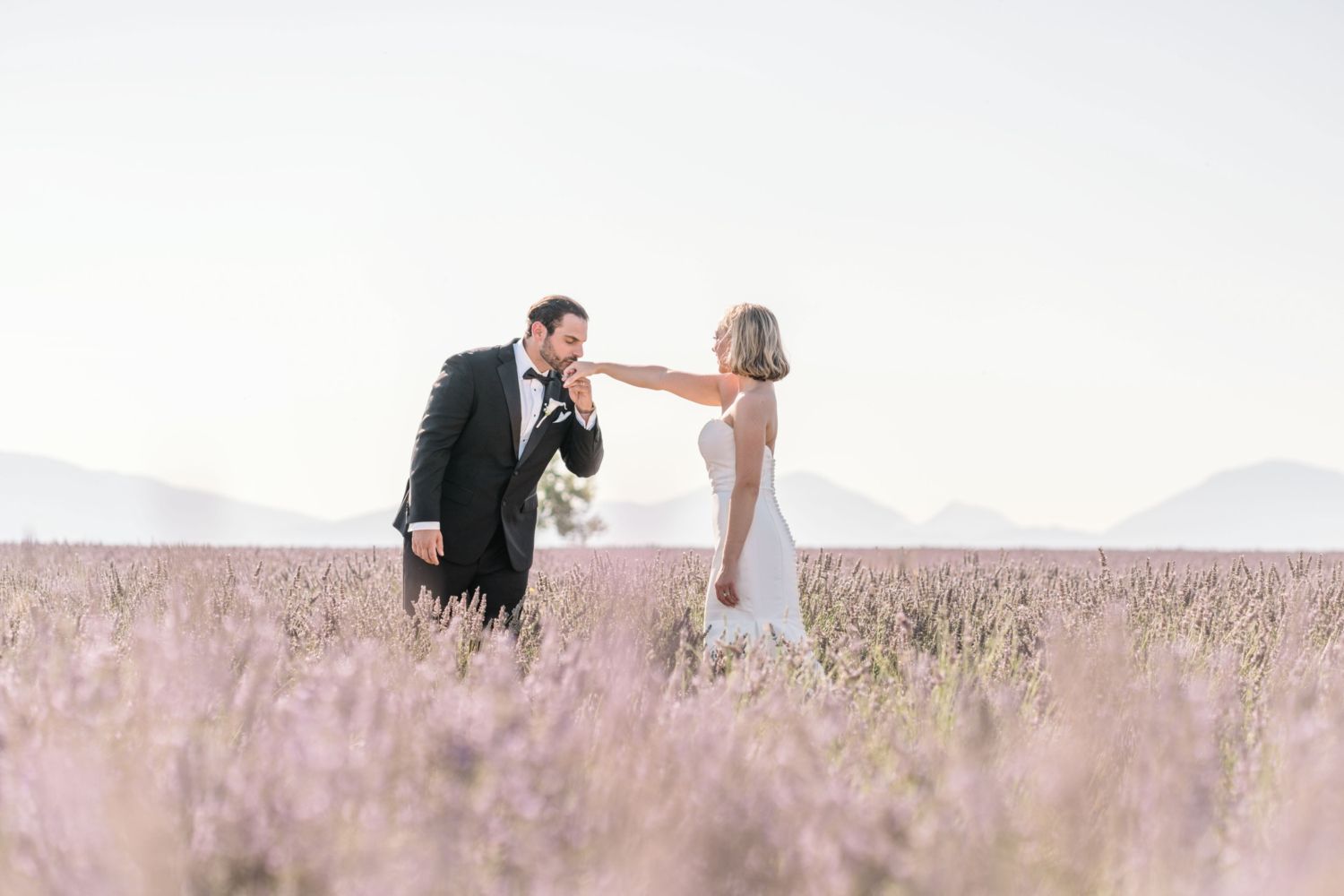 groom kiss hand of bride in lavender field in provence