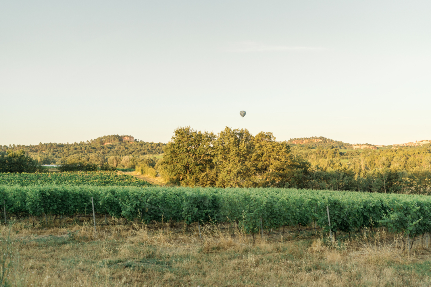 hot air balloon in provence france