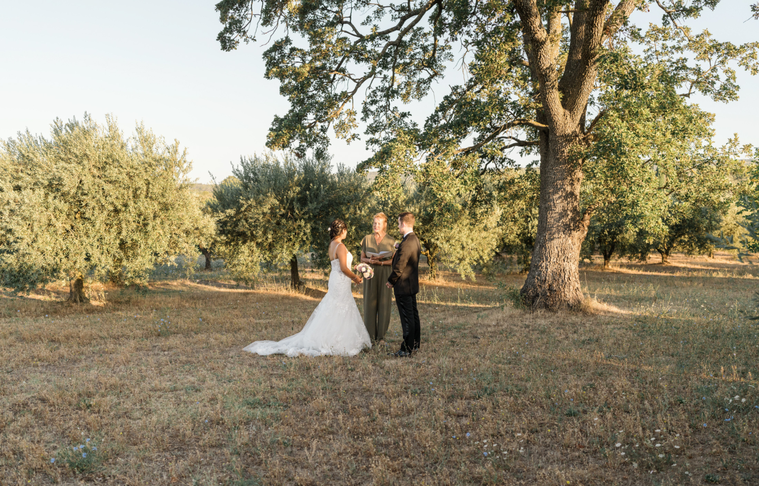 bride and groom say vows to each other in olive grove