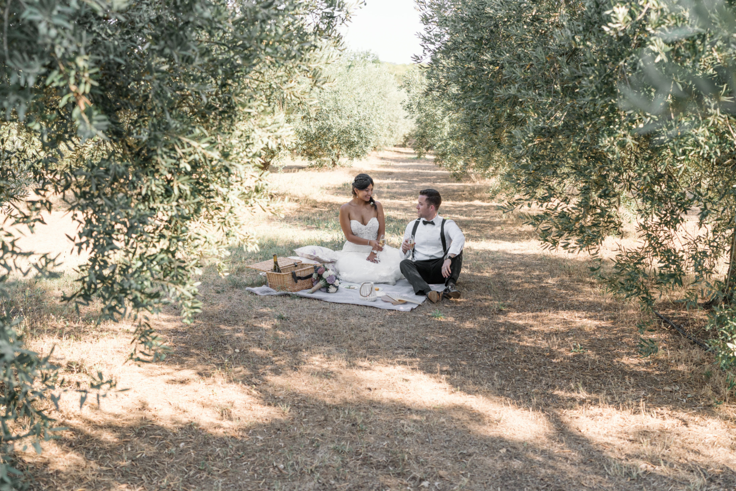 bride and groom have picnic in olive grove in provence