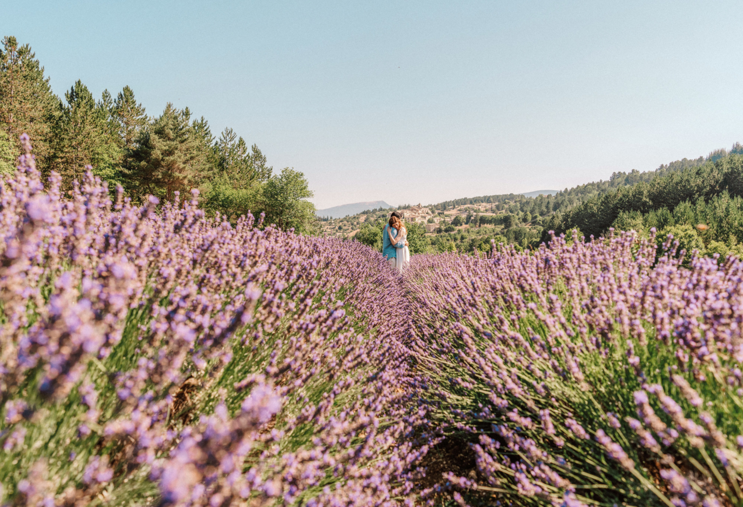 couple hug in lavender field with purple flowers