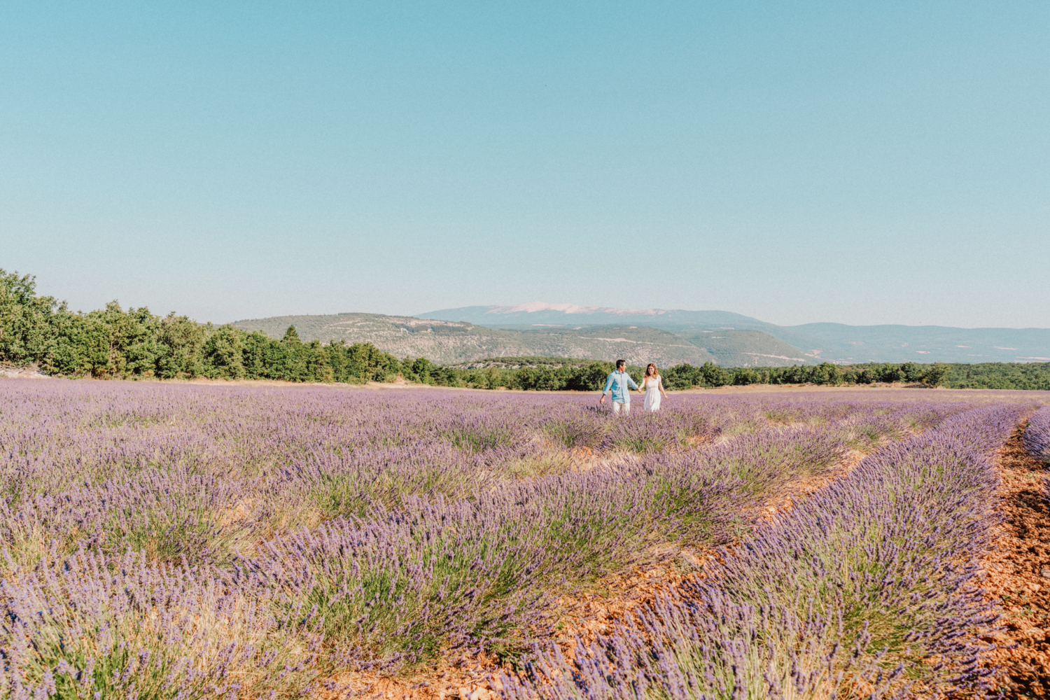 man and woman walk in lavender field with view of mountain