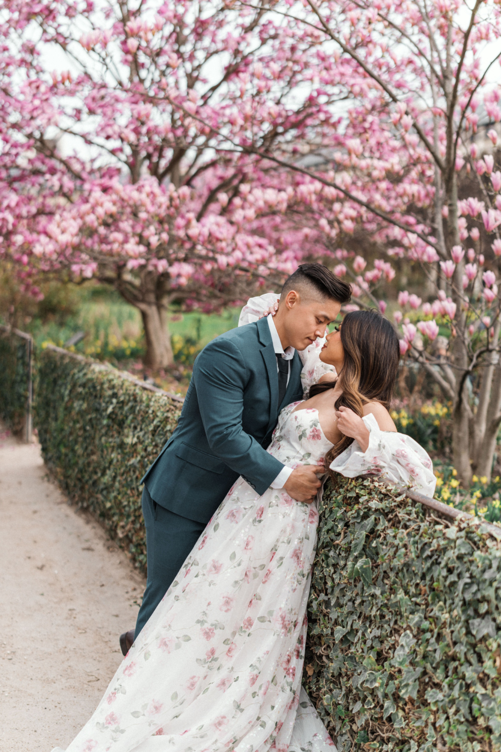asian couple embrace with magnolia tree in background