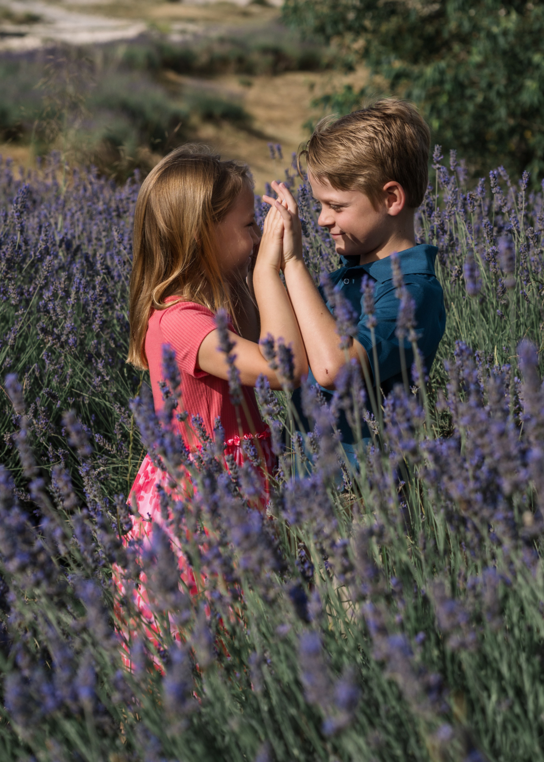 brother and sister play in the lavender in les baux de provence