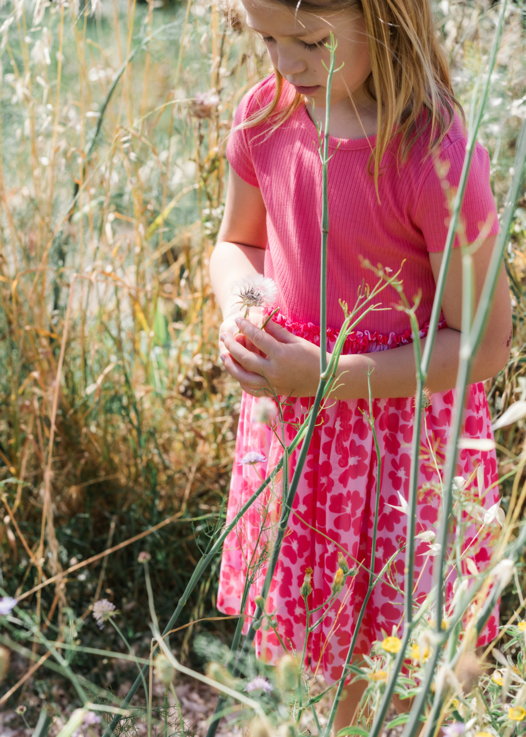 little girl holds dandelion in les baux de provence frannce