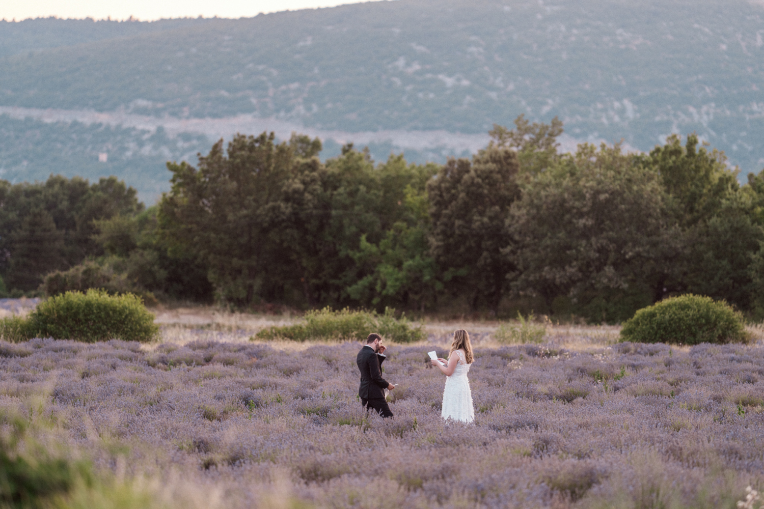 touching elopement in the lavender fields of provence