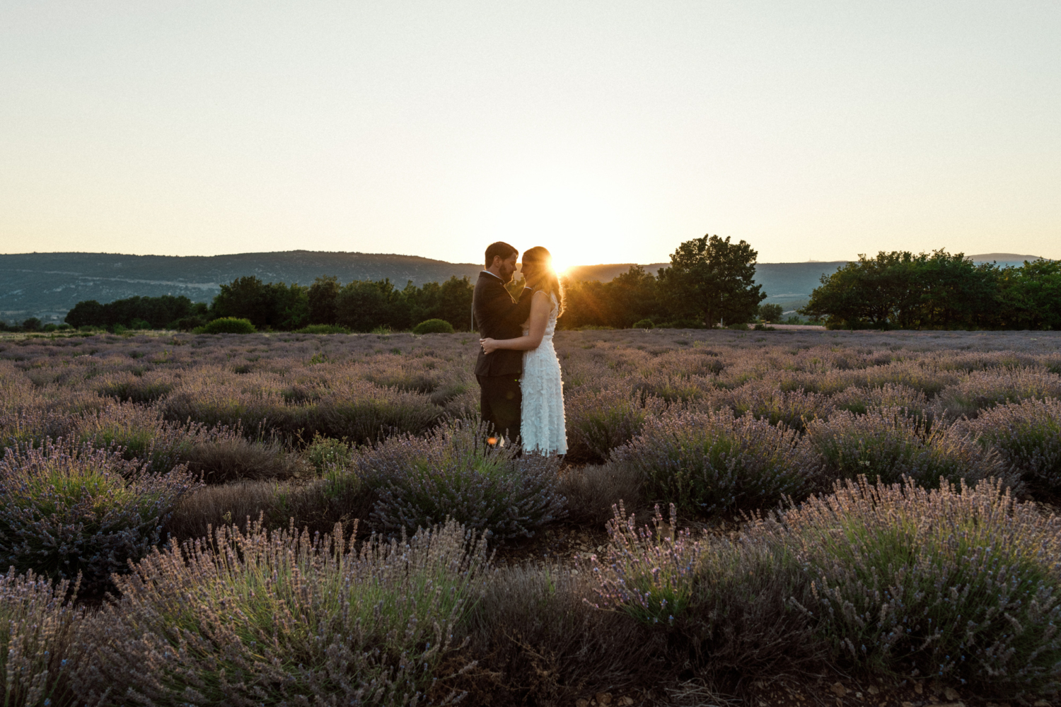 elopement in the lavender fields as sunset