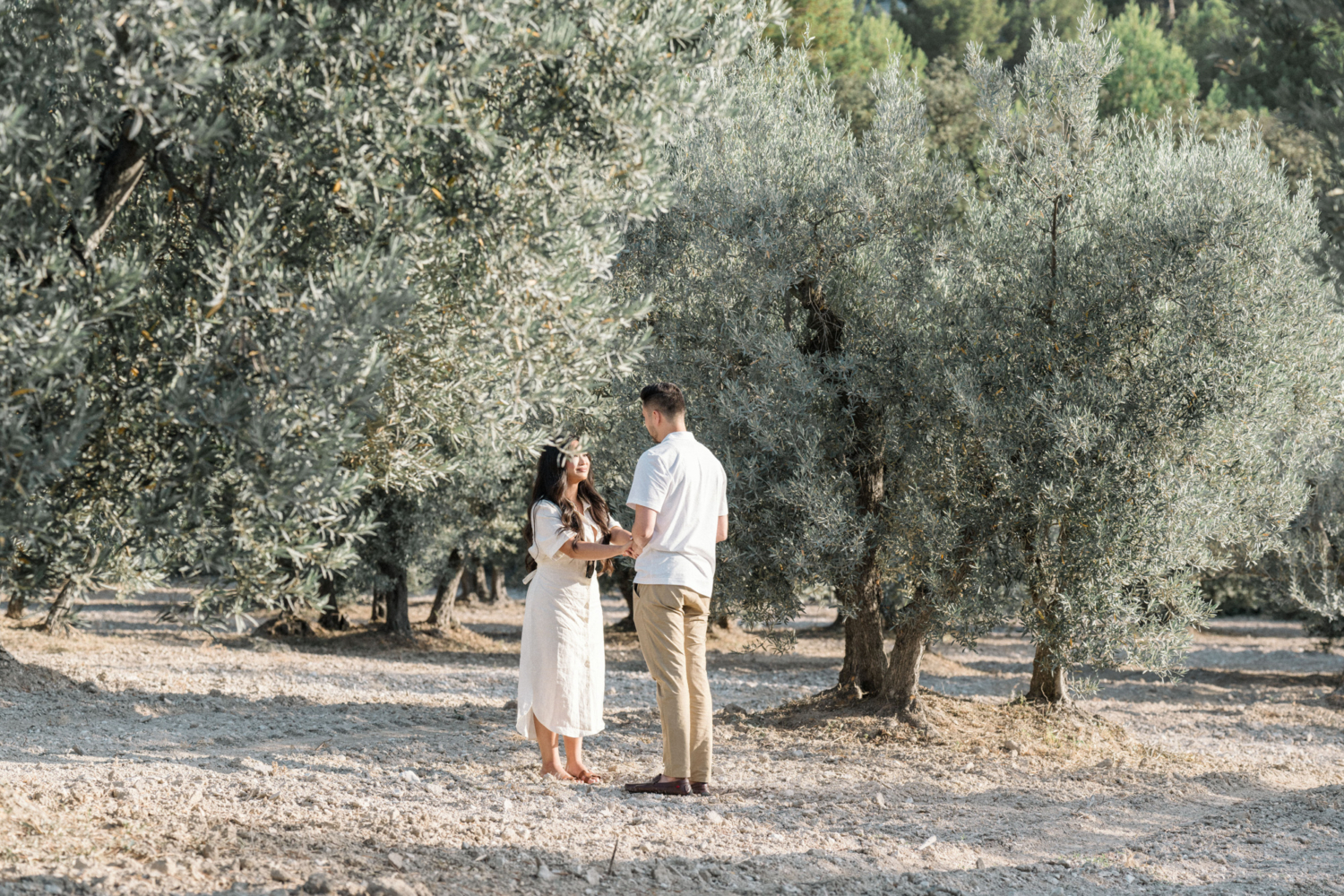 man and woman old hands in olive grove in provence
