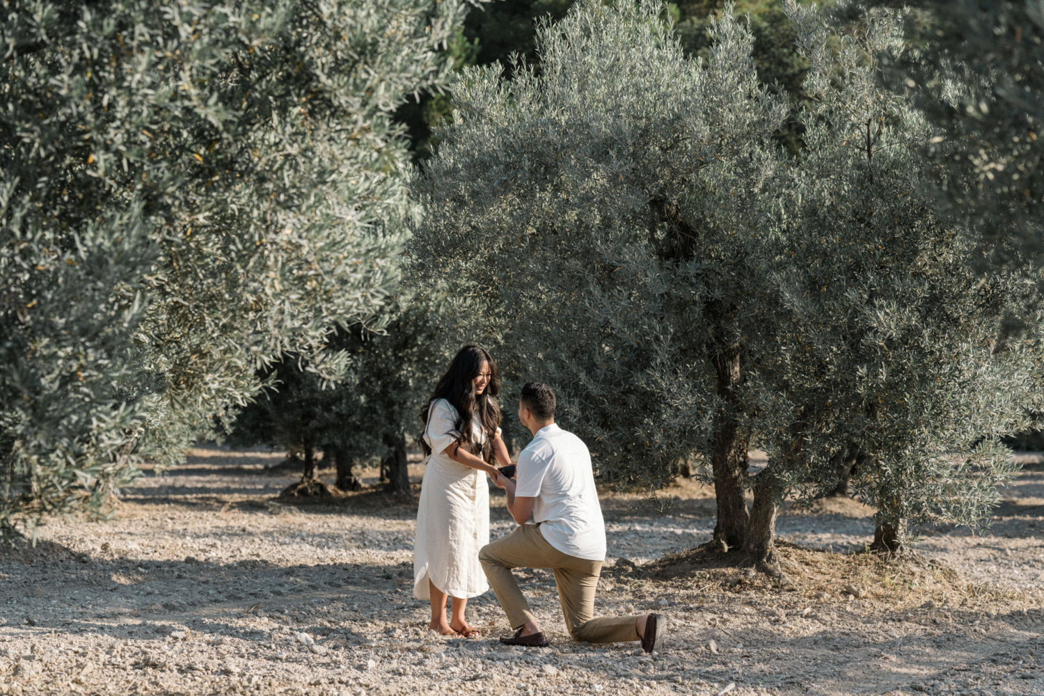 man on one knee proposes to woman in olive grove