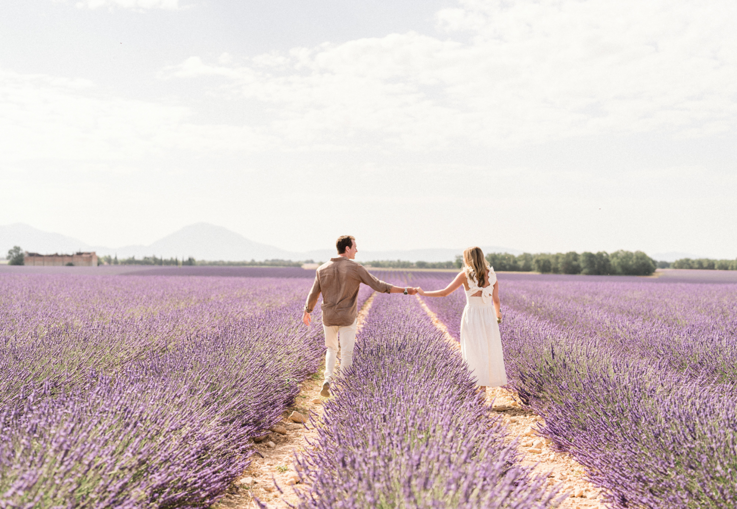 engaged couple walk toward mountain in lavender field