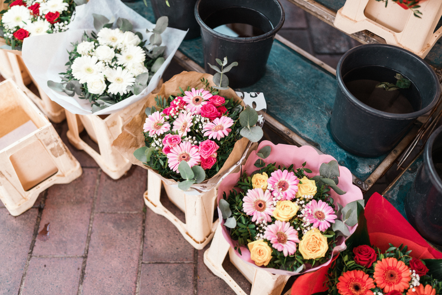 colorful daisies at flower market in nice france