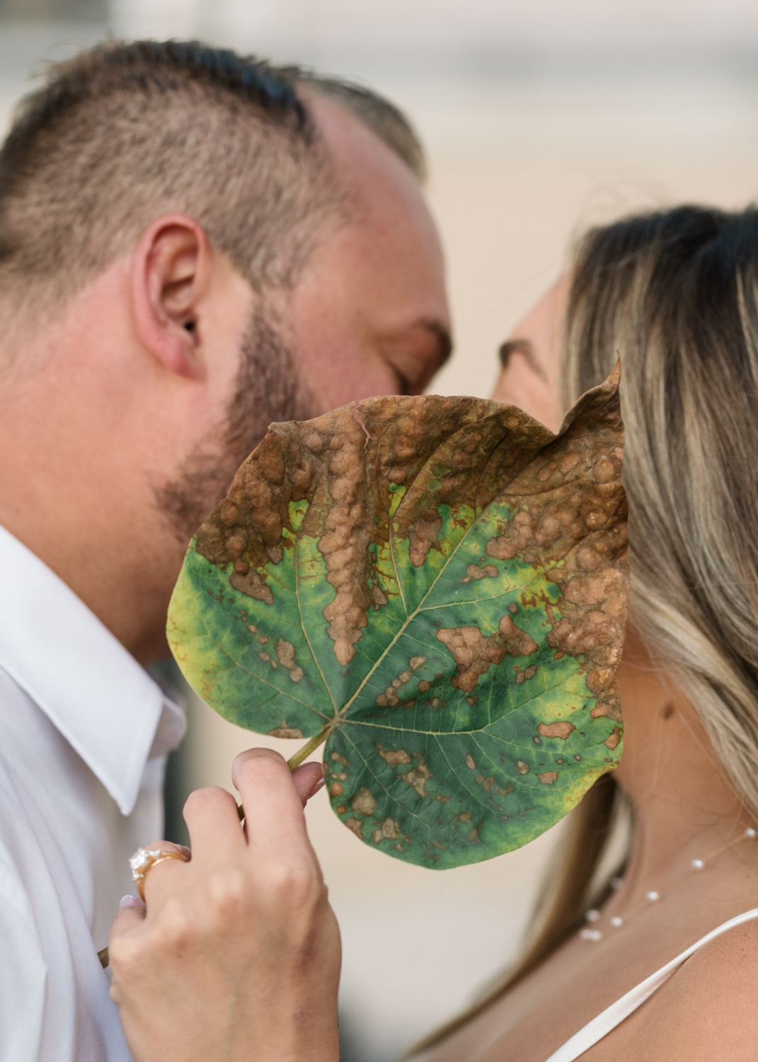 couple kiss behind large leaf in paris france