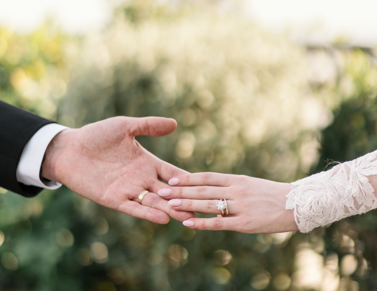 bride and grooms wedding rings