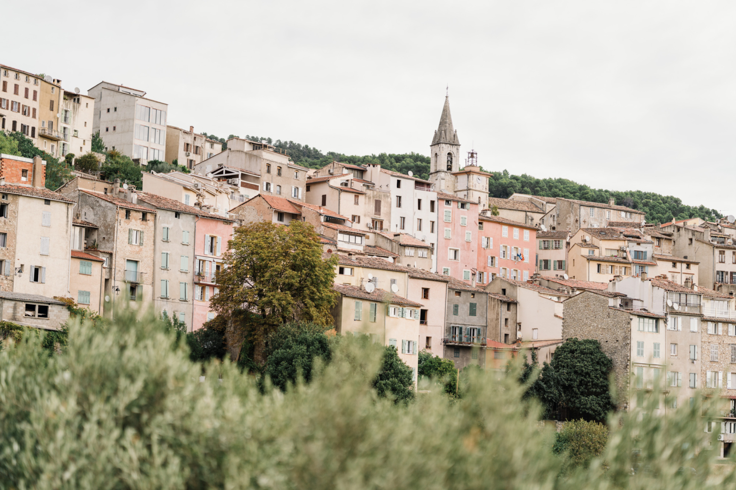colorful callas france