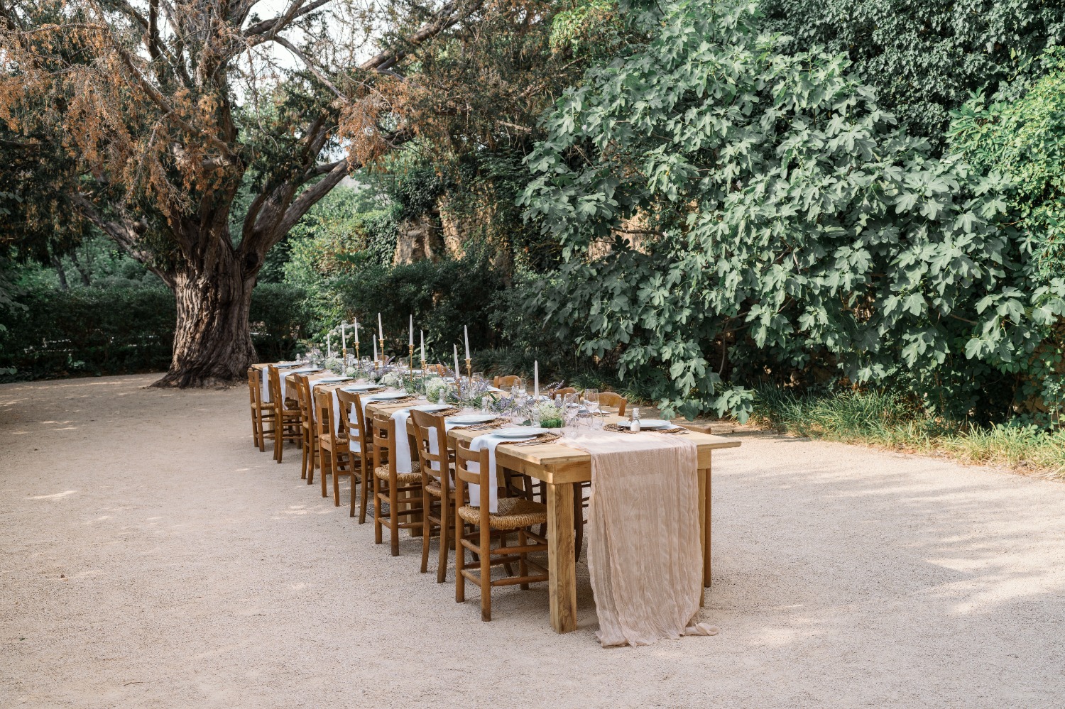 karina leigh branding photographer in provence