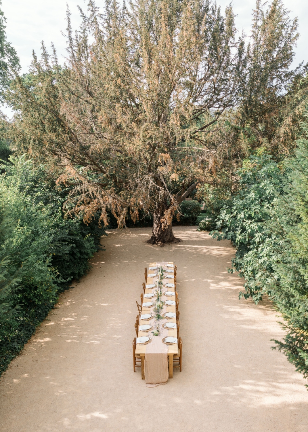 karina leigh branding photographer in provence