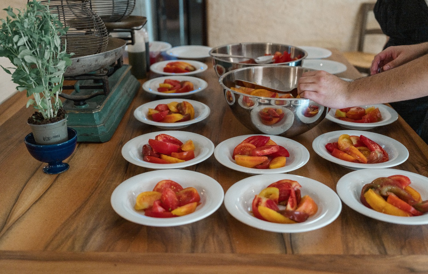 karina leigh branding photographer in provence