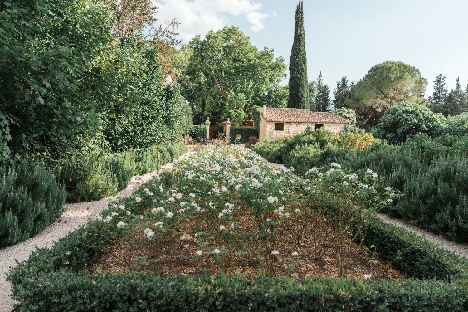 karina leigh branding photographer in provence