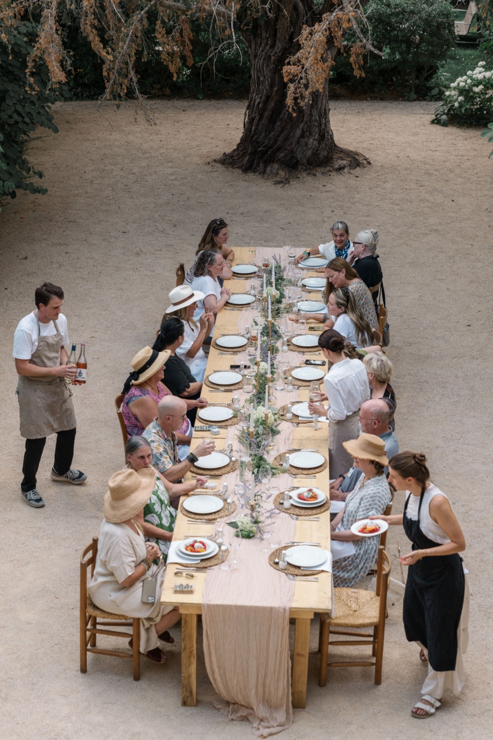 karina leigh branding photographer in provence