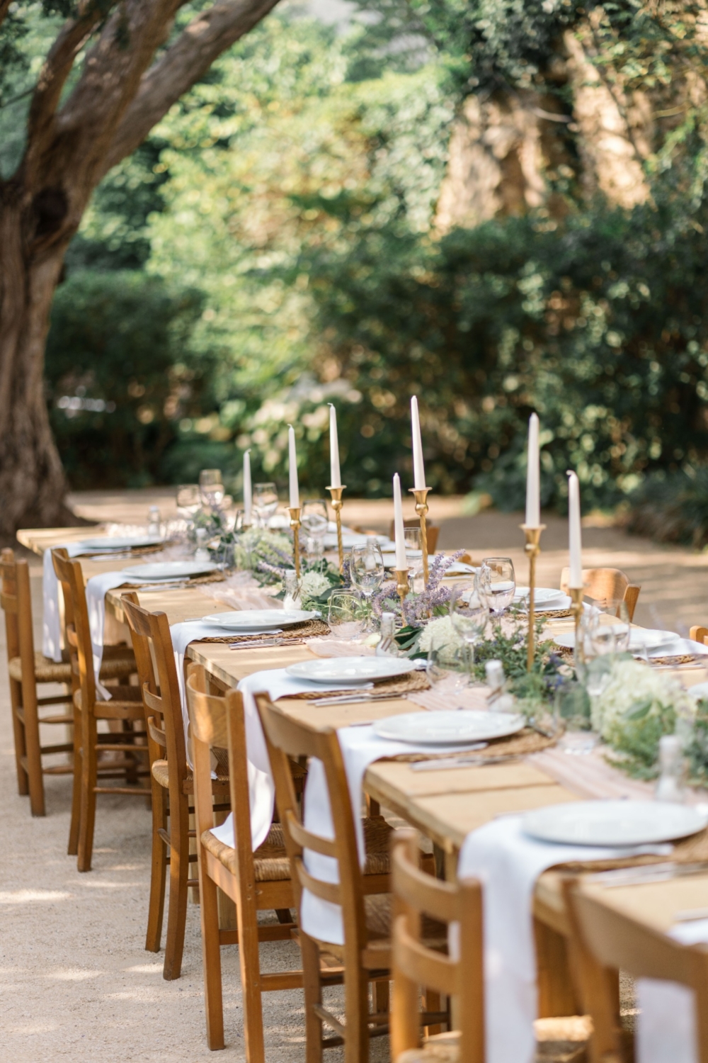 karina leigh branding photographer in provence