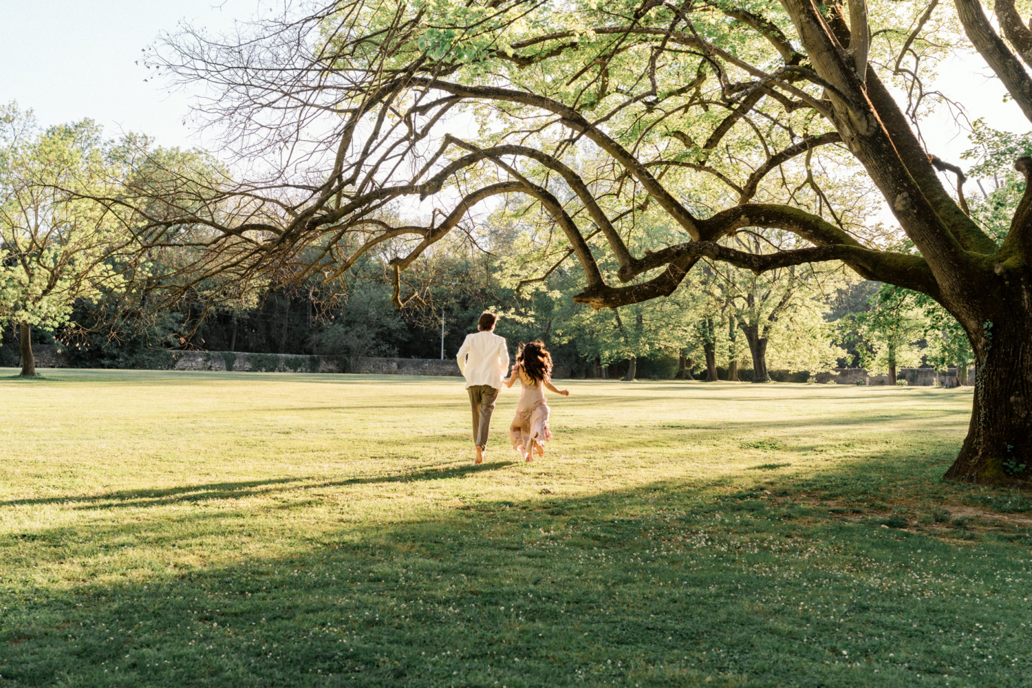 surprise engagement at chateau des alpilles in provence france