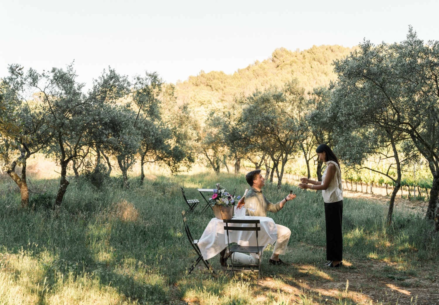 man on one knee proposing marriage at vineyard in provence