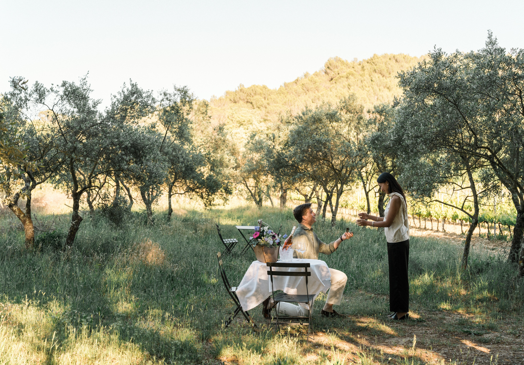 man on one knee proposing marriage at vineyard in provence