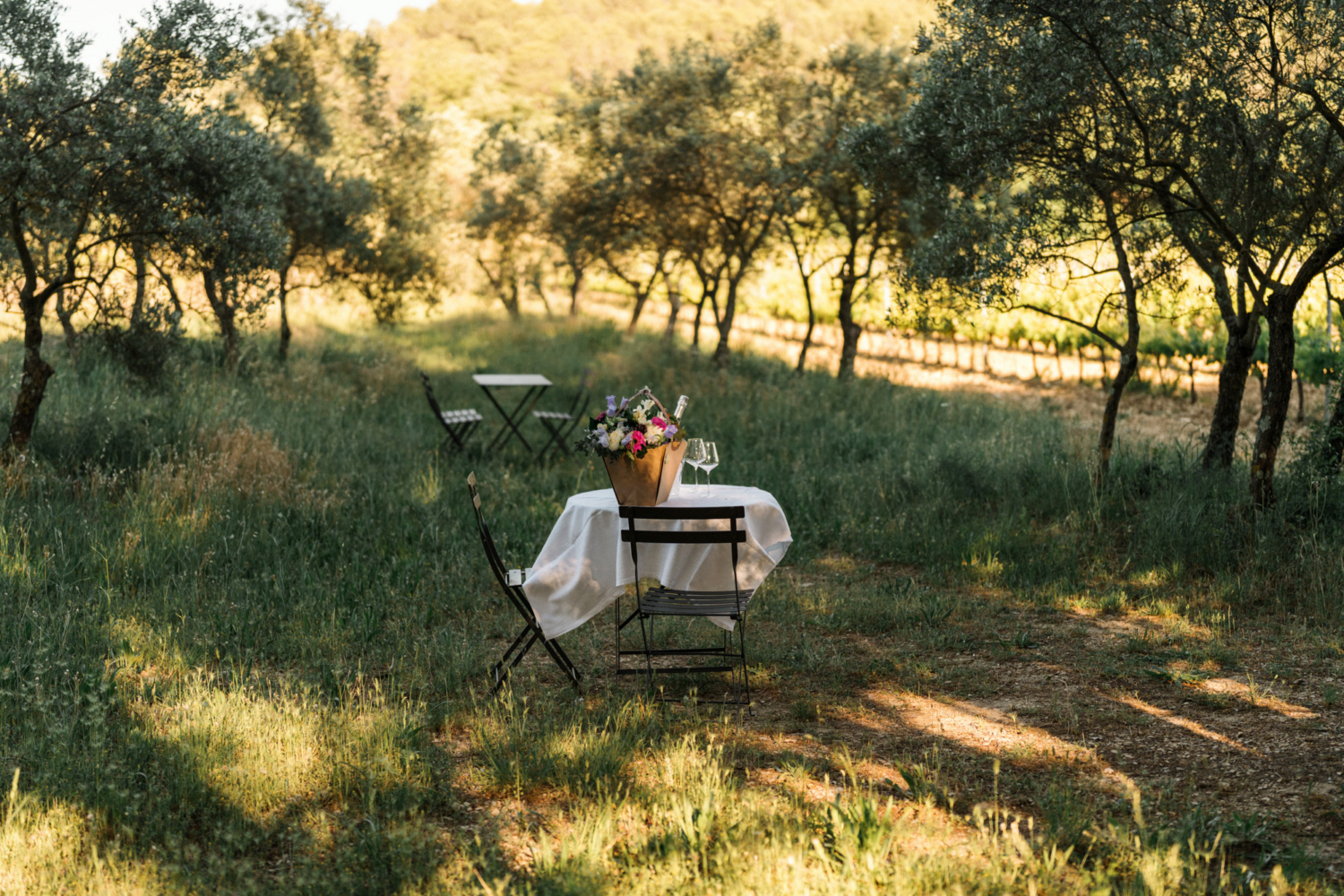 a table set up for a surprise proposal in provence