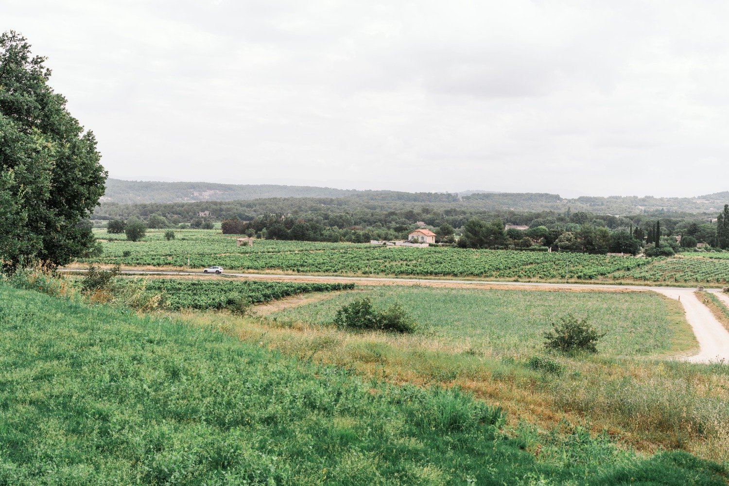 domaine de la citadelle in provence
